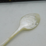 Victorian Boxed Set of Mother of Pearl Caviar Spoons Antique c1880s