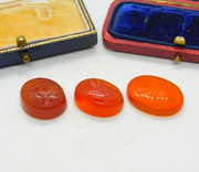 Job Lot Of Intaglios Carnelian Seal Islamic Script Text Antique Georgian c1820