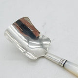 Victorian Sterling Silver & Mother of Pearl Tea Caddy Spoon Antique 1848
