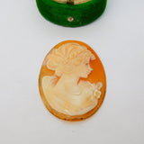 Carved Shell Cameo Female in Profile Vintage c1960