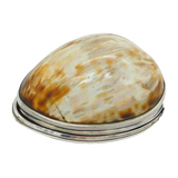 George I Sterling Silver Mounted Cowrie Shell Snuff Box Antique c1720s