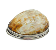 George I Sterling Silver Mounted Cowrie Shell Snuff Box Antique c1720s