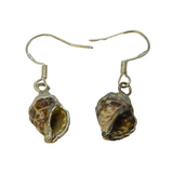 Pair of Sterling Silver Wrapped Natural Seashell Drop Earrings Vintage c1970