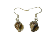 Pair of Sterling Silver Wrapped Natural Seashell Drop Earrings Vintage c1970