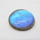 Sterling Silver Morpho Butterfly Wing Circular Brooch Antique c1920 Art Deco