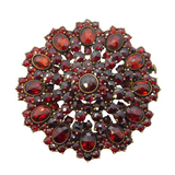 Austro-Hungarian Silver Gilt & Bohemian Garnet Floral Dress Brooch Antique
