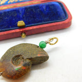 Ammonite Fossil Opal and Jade Pendant Antique Art Deco c1920