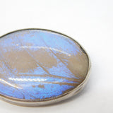 Sterling Silver Morpho Butterfly Wing Set Dress Brooch Antique c1920 Art Deco