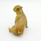 20th Century Franz Bergmann Cold Painted Vienna Bronze Pug Figurine Antique