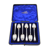 Victorian Boxed Sterling Silver Prince of Wales Picture Back Teaspoons Antique
