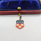 Sterling Silver and Enamel Chartres Travel Shield Charm Pendant Vintage c1970
