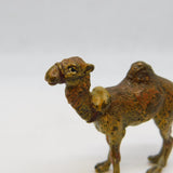 19th Century Cold Painted Vienna Bronze Camel Ornament Antique c1880s
