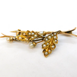 Edwardian 15ct Yellow Gold & Seed Pearl Oak Leaf Acorn Brooch Antique c1910