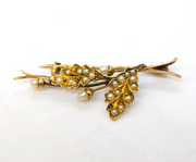 Edwardian 15ct Yellow Gold & Seed Pearl Oak Leaf Acorn Brooch Antique c1910