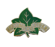 Sterling Silver Enamel Crofton House School Brooch Pin Vintage c1970