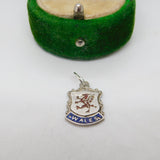 Sterling Silver Enamel Wales Shield Charm Pendant Vintage c1970
