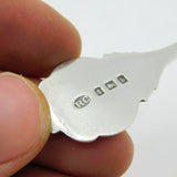 Edwardian Sterling Silver Enamel 'Shakespeare's Birthplace' Spoon Antique