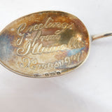 Edwardian Sterling Silver & Enamel 'Illawalla' Souvenir Spoon Antique 1907