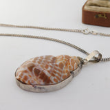 Large Sterling Silver Mounted Conch Shell Pendant Necklace Vintage c1980