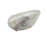 Italian .800 Silver Novelty Mussel Shell Trinket Box Vintage c1970s
