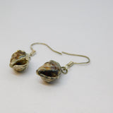 Pair of Sterling Silver Wrapped Natural Seashell Drop Earrings Vintage c1970