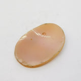 Victorian Carved Shell Female in Profile Cameo Antique c1880