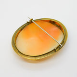 Victorian Rolled Gold Carved Shell Classical Scribe Cameo Brooch Antique