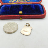 Sterling Silver & Enamel Devon Shield Charm Pendant Vintage c1970