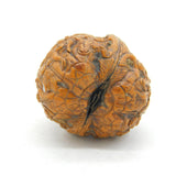 19th Century Japanese Carved Walnut Scholar Pattern Ornament Antique c1830s