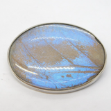 Sterling Silver Morpho Butterfly Wing Set Dress Brooch Antique c1920 Art Deco