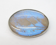 Sterling Silver Morpho Butterfly Wing Set Dress Brooch Antique c1920 Art Deco