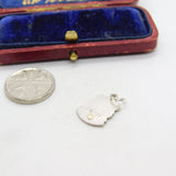 Sterling Silver and Enamel Leo Zodiac Travel Shield Charm Pendant Vintage c1970