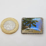 Sterling Silver Morpho Butterfly Wing Nassau Souvenir Brooch Antique Art Deco