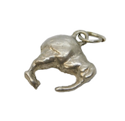 Sterling Silver Kiwi Bird Charm Pendant Vintage c1970