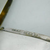 George V Sterling Silver Equestrian Interest Vesta Case Antique 1911 Birmingham