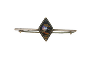 Sterling Silver Morpho Butterfly Kingfisher Image Brooch Pin Antique c1920