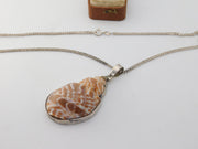 Large Sterling Silver Mounted Conch Shell Pendant Necklace Vintage c1980