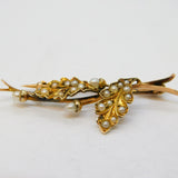 Edwardian 15ct Yellow Gold & Seed Pearl Oak Leaf Acorn Brooch Antique c1910