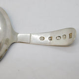 George III Sterling Silver Floral Pattern Tea Caddy Spoon Antique 1795 London