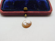 Shell Cameo Lady's Face in Profile Charm Pendant Vintage c1970