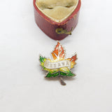 Sterling Silver & Colourful Enamel Ottawa Canada Maple Brooch Antique c1920