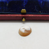 Shell Cameo Lady's Face in Profile Charm Pendant Vintage c1970