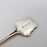 Sterling Silver Enamel Alnwick Souvenir Teaspoon Antique 1919 Birmingham