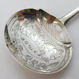 George IV Sterling Silver Floral Tea Caddy Spoon Antique 1825 Birmingham