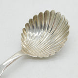 Scottish Victorian Sterling Silver Shell Bowl Tea Caddy Spoon Antique 1840