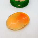 Carved Shell Cameo Female in Profile Vintage c1960