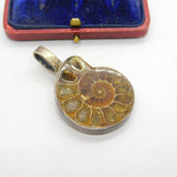 Sterling Silver Mounted Ammonite Fossil Large Pendant Vintage c1950
