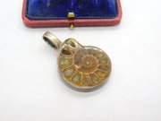 Sterling Silver Mounted Ammonite Fossil Large Pendant Vintage c1950