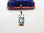Sterling Silver & Abalone Set Perched Owl Pendant Vintage c1970