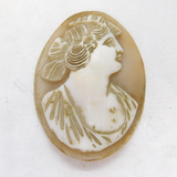 Victorian Carved Shell Cameo Lady in Profile Plaque Antique c1900s